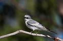 IMG_3481mw