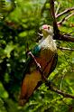 IMG_5817mw