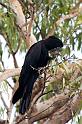 IMG_4288mw