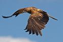 IMG_4217mw