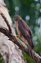 IMG_6251mw