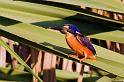 0905_mg_0130mw2