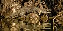 20120611-_MG_8568