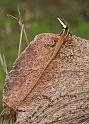 IMG_0023mw
