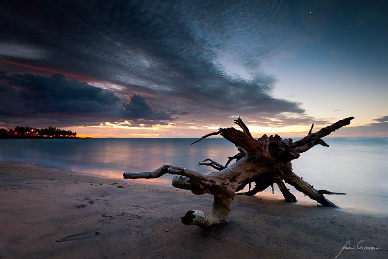 20120411-_MG_8210-Edit-Edit.jpg - Driftwood under Venus - Nightcliff, Darwin, NT