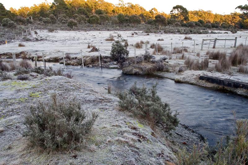 LS206mw.jpg - A frosty creek - near Moina