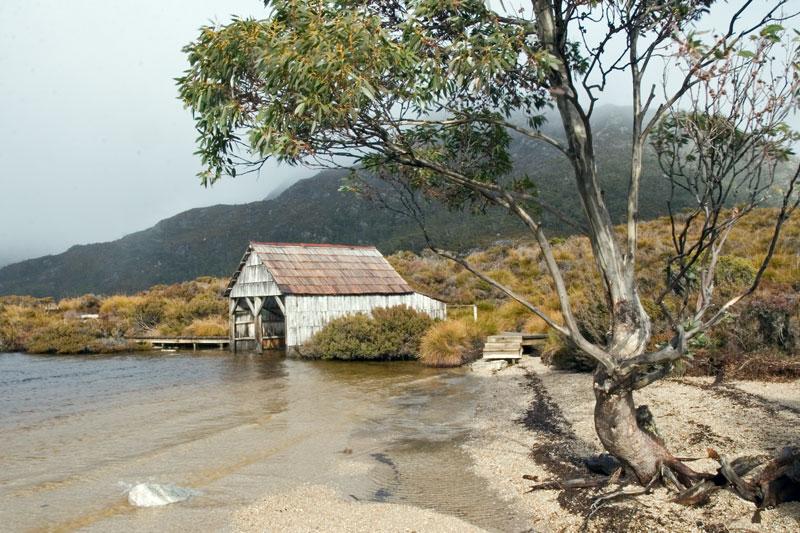 LS216mw.jpg - Boat Shed - Dove Lake, Cradle Mountain