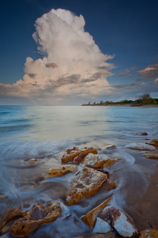 20111125_MG_5800mw.jpg - Going up - Wagait Beach, NT
