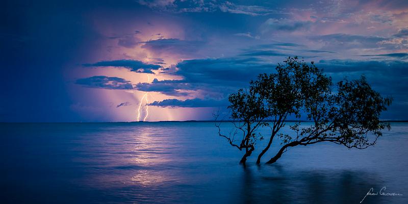 20130215-_DSC1401.jpg - Mangrove Strike - Fannie Bay, Darwin