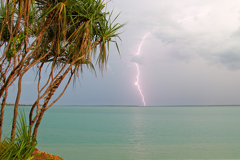 _MG_3846mw.jpg - Pandanus Strike - Fannie Bay, Darwin, NT