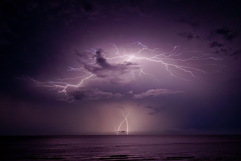 _MG_7046m2w.jpg - Lightning Tree - Dripstone Cliffs, Casuarina, Darwin, NT