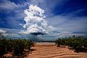 _MG_4601m